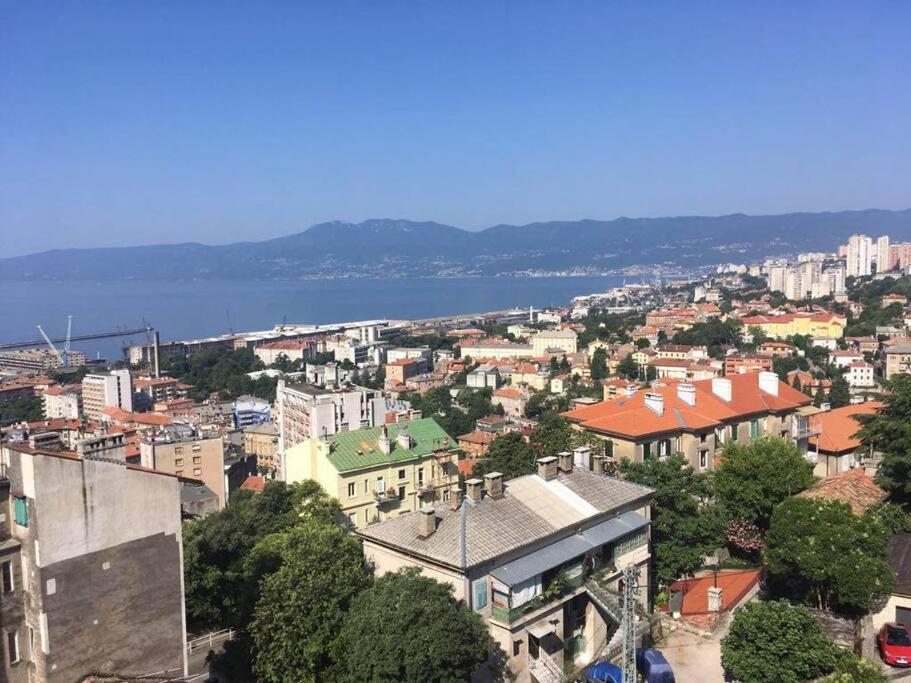 Sea City View W/ 2Bd 1Bt Free Street Parking 里耶卡 外观 照片