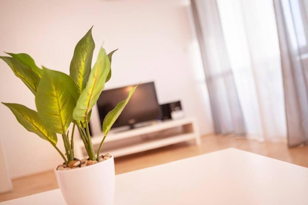 Sea City View W/ 2Bd 1Bt Free Street Parking 里耶卡 外观 照片